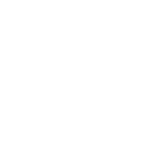 Neuroscience and Mental Health-logo